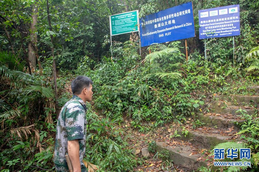 (圖文互動)(2)科學接續保護 守住生態紅線——探訪“北回歸沙漠帶上的綠色明珠”