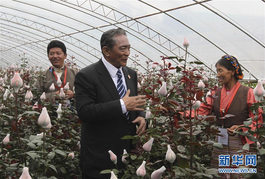 (壯麗70年·奮斗新時代——共和國榮光)(3)民族團結的楷模——熱地