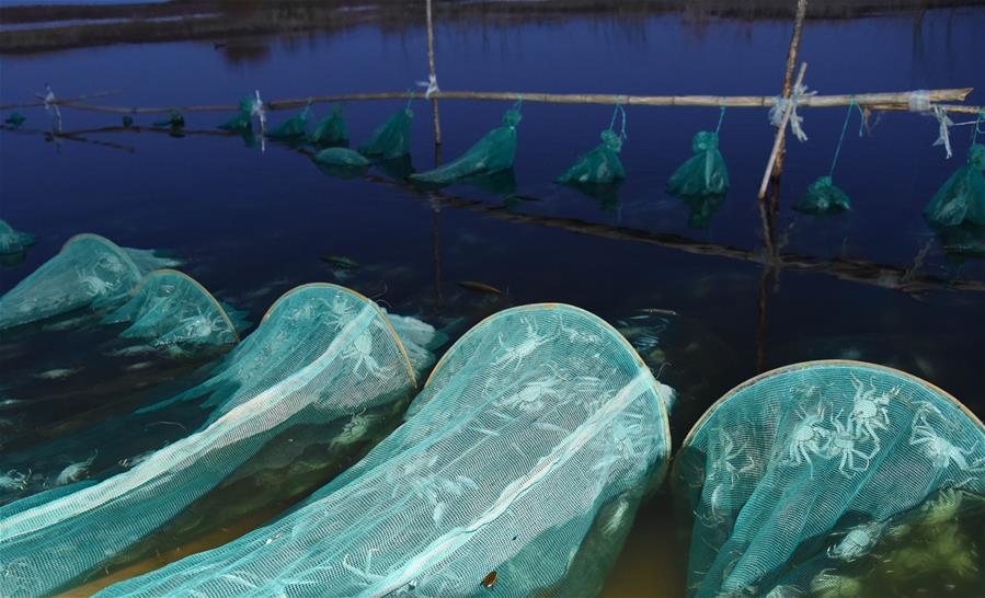 (在習(xí)近平新時(shí)代中國(guó)特色社會(huì)主義思想指引下——新時(shí)代新作為新篇章·總書(shū)記關(guān)心的百姓身邊事·圖文互動(dòng))(2)水潤(rùn)民心——全國(guó)農(nóng)村飲水安全攻堅(jiān)成效觀察