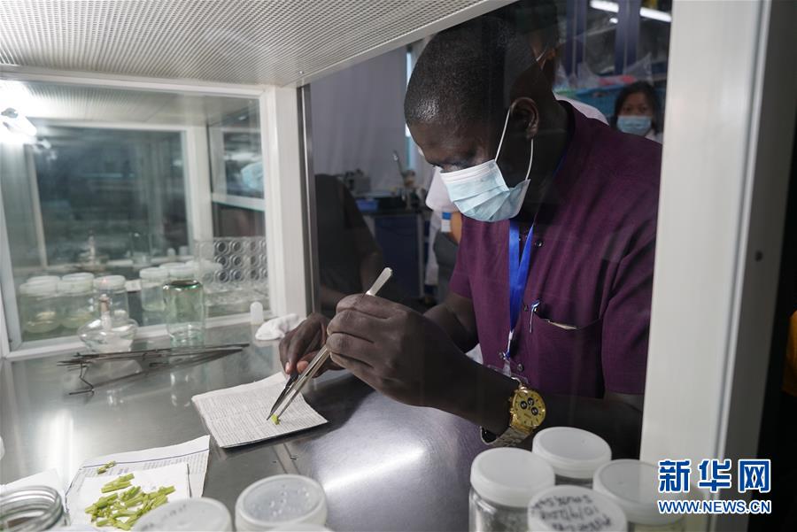 (在習(xí)近平新時(shí)代中國特色社會主義思想指引下——新時(shí)代新作為新篇章·總書記關(guān)切開放事·圖文互動)(8)來中國“學(xué)種地”的“洋學(xué)生”