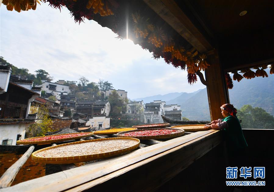 （圖文互動）（5）鄉村攝影師、鄉村“模特”、民宿店主——鄉村旅游推動婺源農民生活方式發生新變化