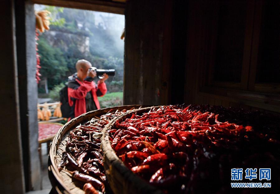 （圖文互動）（6）鄉村攝影師、鄉村“模特”、民宿店主——鄉村旅游推動婺源農民生活方式發生新變化