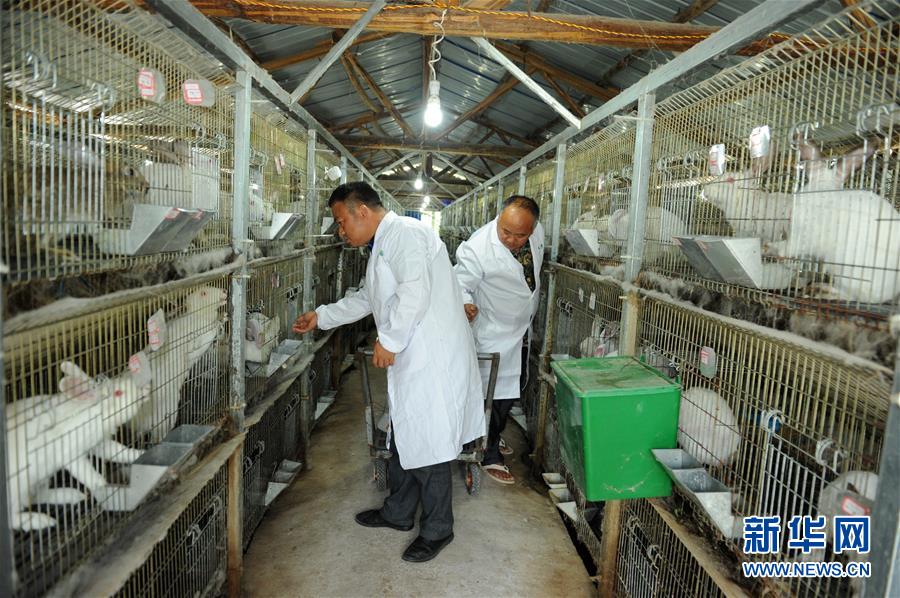 (新華全媒頭條·圖文互動(dòng))(4)干部去哪兒了?——貴州干部大規(guī)模下沉脫貧攻堅(jiān)一線紀(jì)實(shí)