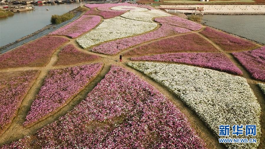 (新華全媒頭條·圖文互動)(5)大湖見證——長三角三大淡水湖綠色發(fā)展之路