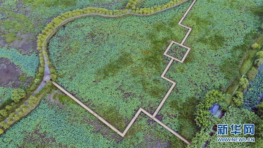 (新華全媒頭條·圖文互動)(9)大湖見證——長三角三大淡水湖綠色發(fā)展之路