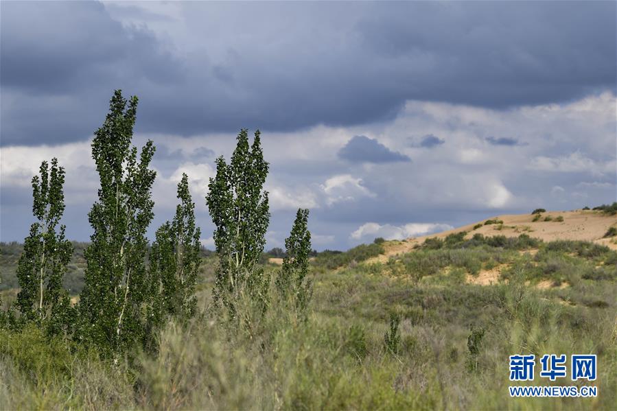 (在習近平新時代中國特色社會主義思想指引下——新時代新作為新篇章·總書記關切高質量發展·圖文互動)(2)從一粒沙看不斷擴大的中國綠色版圖