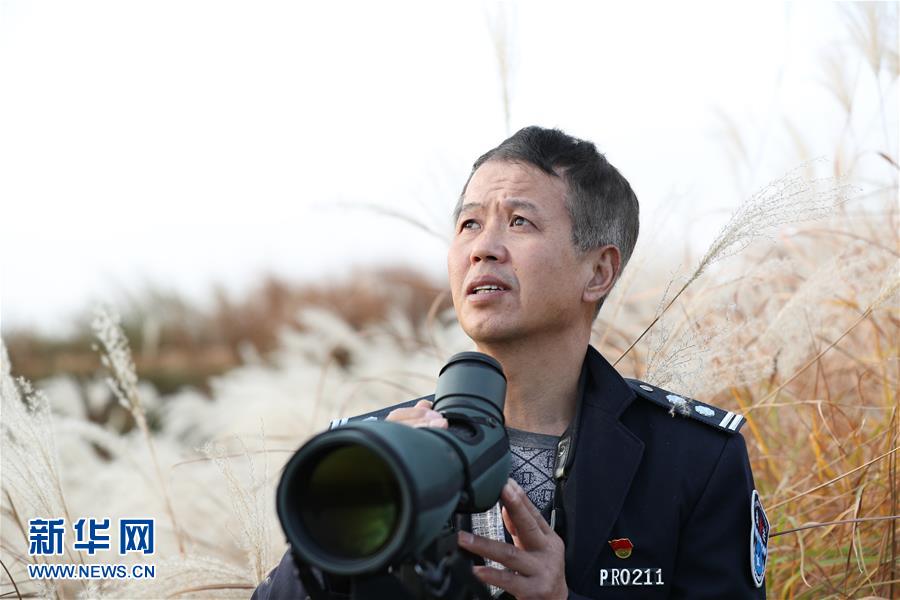 (新春走基層·圖文互動)他們,默默守護候鳥