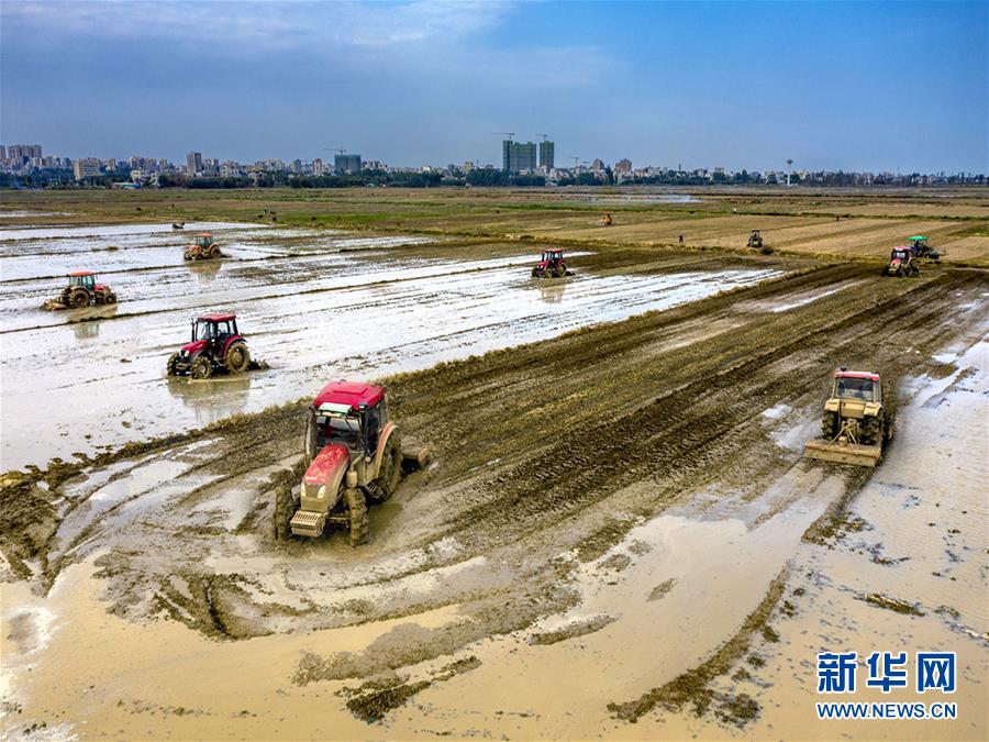 （圖文互動）讓“世界工廠”心不慌——廣東春耕生產見聞