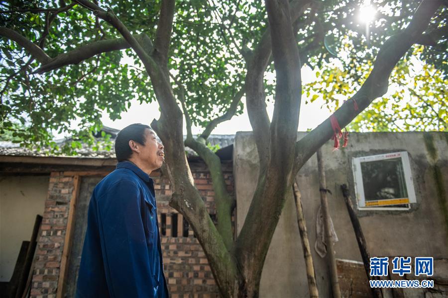 (新華全媒頭條·圖文互動)(7)書寫新的轉折——寫在革命老區遵義全面脫貧之際