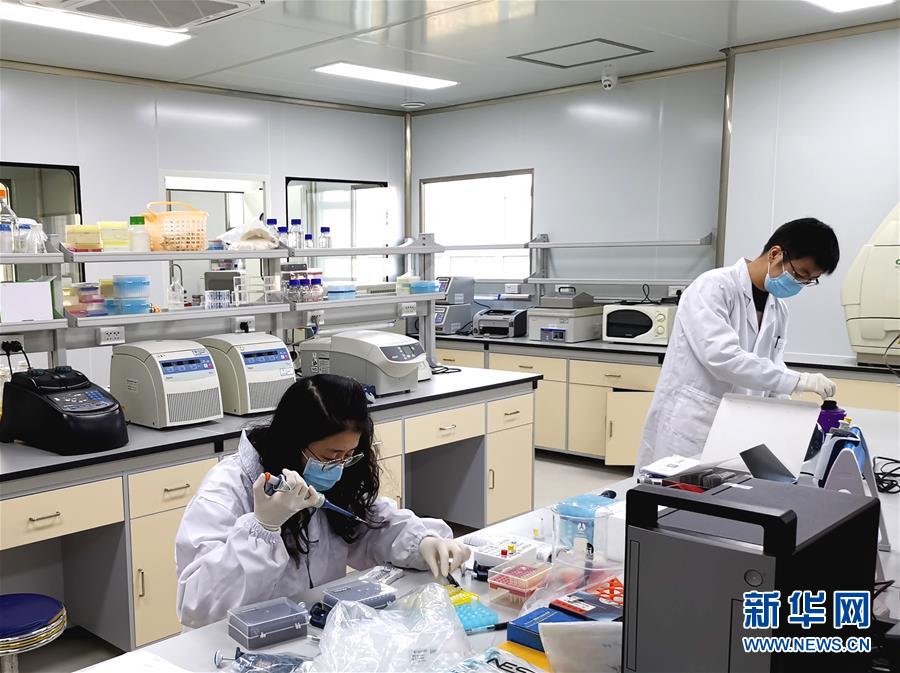 (在習(xí)近平新時(shí)代中國(guó)特色社會(huì)主義思想指引下——新時(shí)代新作為新篇章·習(xí)近平總書(shū)記關(guān)切事·圖文互動(dòng))(5)高擎利劍驅(qū)疫魔——科研攻關(guān)助力湖北戰(zhàn)“疫”記