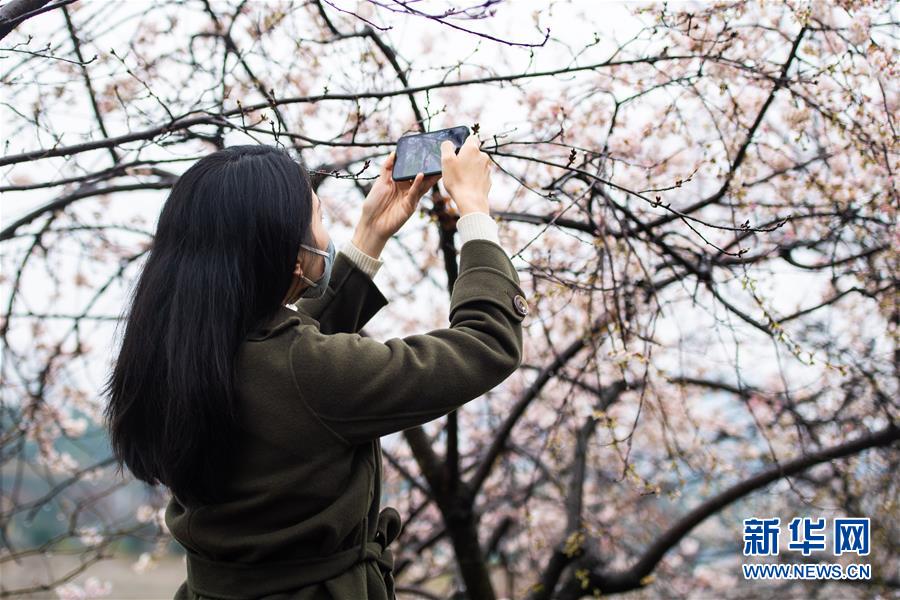 (圖文互動)(5)湖南:響應降級 經濟提速 防控不松