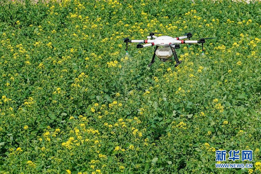 (在習(xí)近平新時(shí)代中國(guó)特色社會(huì)主義思想指引下——新時(shí)代新作為新篇章·習(xí)近平總書(shū)記關(guān)切事·圖文互動(dòng))(17)精準(zhǔn)發(fā)力抓統(tǒng)籌——各地落實(shí)“分區(qū)分級(jí)”有序恢復(fù)生產(chǎn)生活