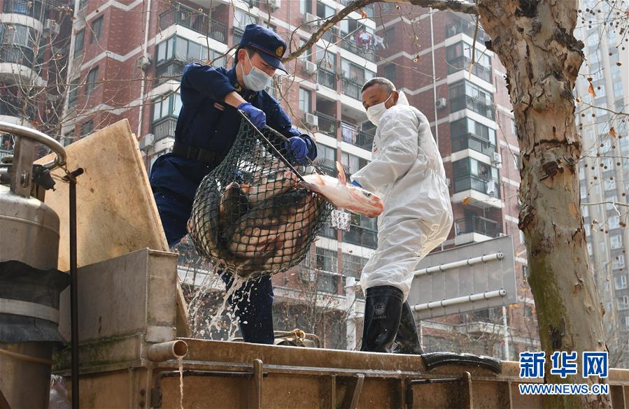 (聚焦疫情防控)(3)咸寧為武漢加“魚”