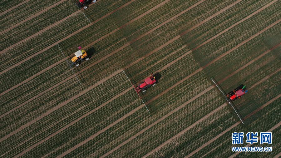 (新華全媒頭條·圖文互動(dòng))(5)春色最濃在田間——來自全國(guó)春耕備耕的現(xiàn)場(chǎng)觀察