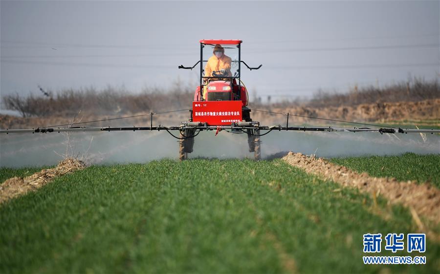 (新華全媒頭條·圖文互動(dòng))(9)春色最濃在田間——來自全國(guó)春耕備耕的現(xiàn)場(chǎng)觀察