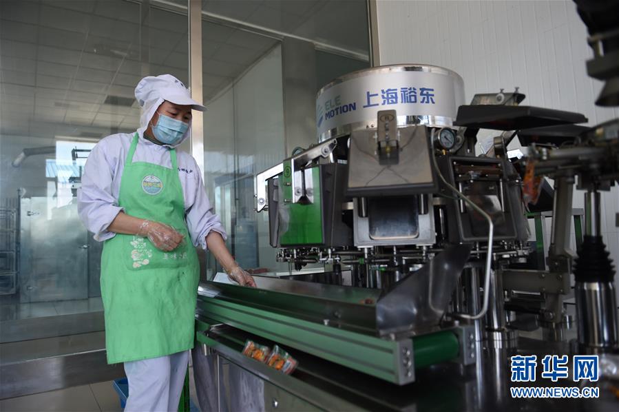 （在習近平新時代中國特色社會主義思想指引下——新時代新作為新篇章·習近平總書記關切事·圖文互動）（8）穩住千家萬戶的“飯碗”——各地積極穩就業化解疫情影響