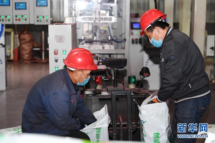 (抓好春耕備耕 穩(wěn)住農(nóng)業(yè)生產(chǎn)·圖文互動)(2)走向泥土是我們的終極夢想——一粒種子的自述