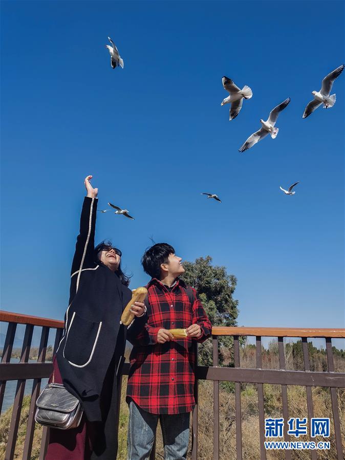 （一線抗疫群英譜·圖文互動）（1）大學生志愿者譚藝西：在武漢，我和媽媽共戰“疫”