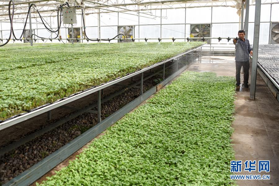 (決戰(zhàn)決勝脫貧攻堅·圖文互動)(3)決戰(zhàn)昆侖——新疆聚焦10個未摘帽縣展開深度貧困攻堅戰(zhàn)