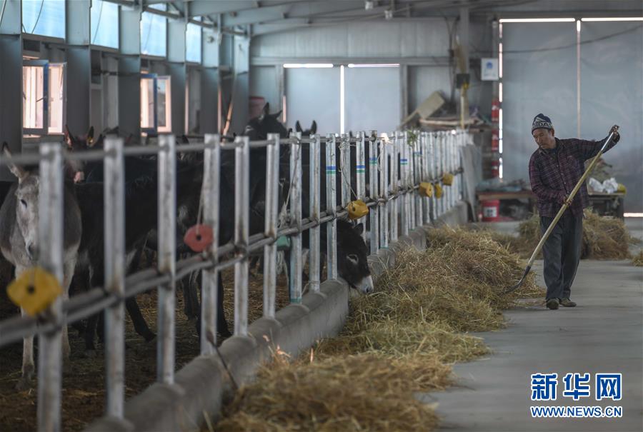 (決戰(zhàn)決勝脫貧攻堅·圖文互動)(12)決戰(zhàn)昆侖——新疆聚焦10個未摘帽縣展開深度貧困攻堅戰(zhàn)