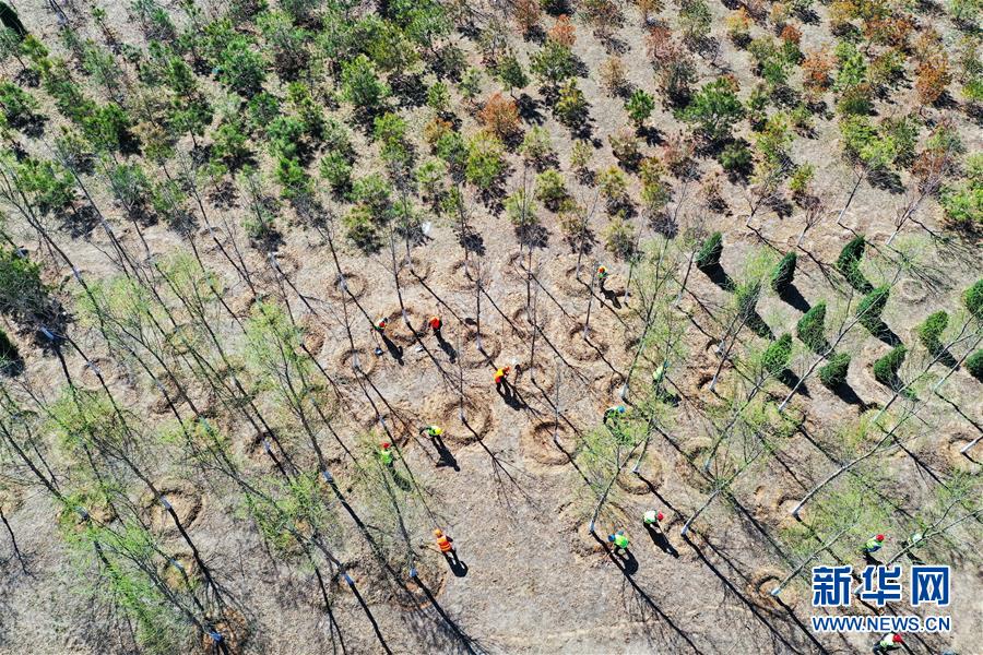 (新華全媒頭條·圖文互動)(5)雄安畫卷徐徐鋪展 “未來之城”蓄勢待發——雄安新區設立三周年巡禮