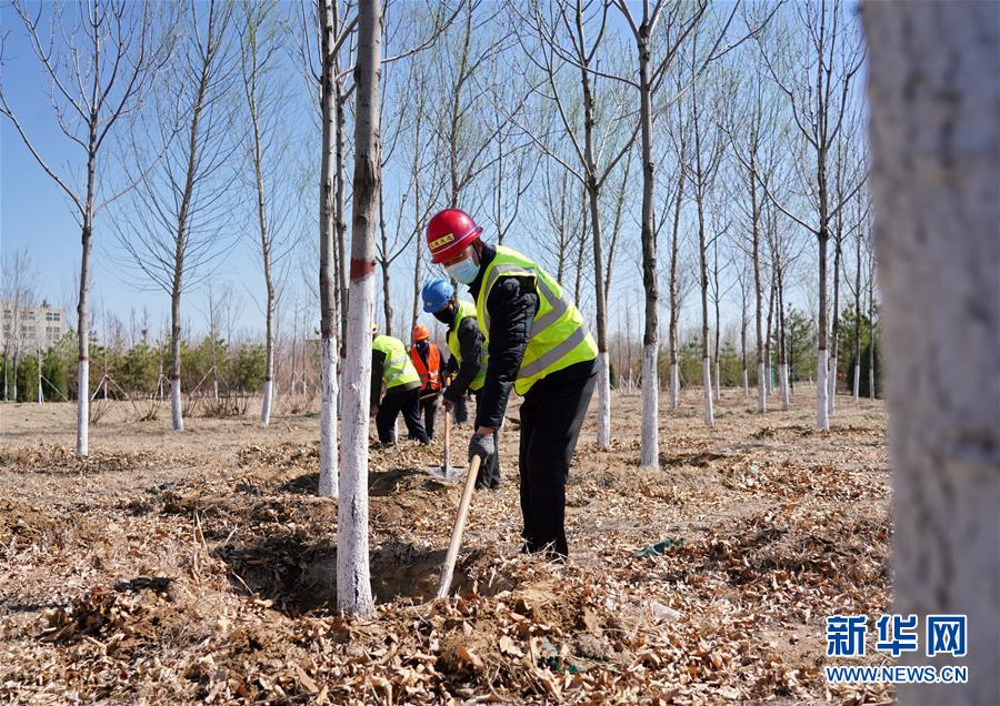 (新華全媒頭條·圖文互動)(8)雄安畫卷徐徐鋪展 “未來之城”蓄勢待發——雄安新區設立三周年巡禮