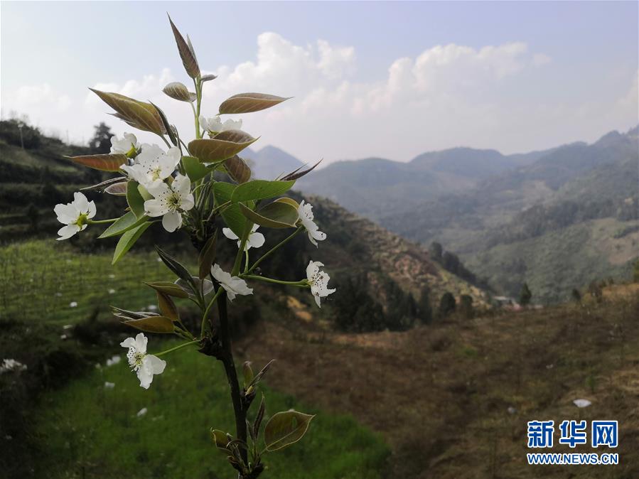 (決戰(zhàn)決勝脫貧攻堅·圖文互動)(1)寄相思,償夙愿——5封清明“家書”里的決戰(zhàn)決勝信念