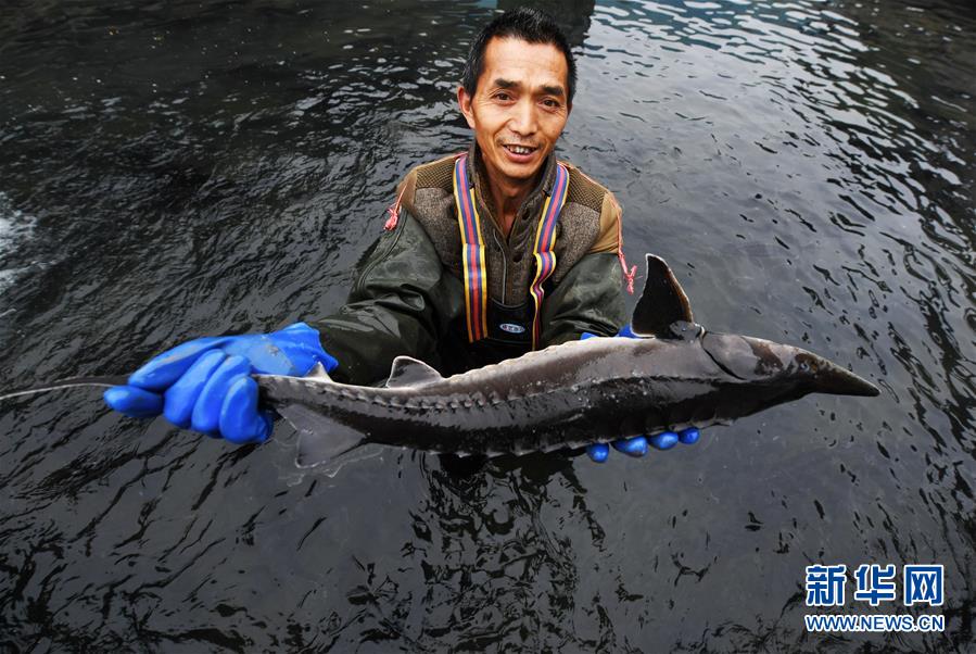 (決戰決勝脫貧攻堅·圖文互動)(4)多重保障 不漏一人——貴州一個脫貧“摘帽”縣的防貧機制探索