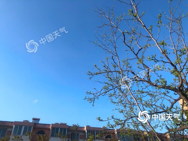 陣風8級!北京遭遇雨后大降溫 北風勁吹需添衣