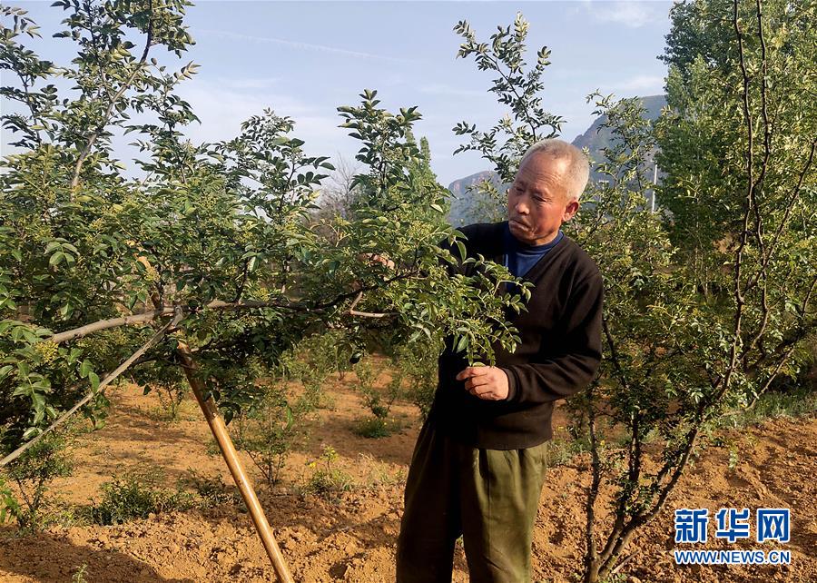 (新華全媒頭條·圖文互動)(5)春天里的5個“戰貧”瞬間——習近平總書記關于脫貧攻堅決策部署指引攻克最后的深貧堡壘