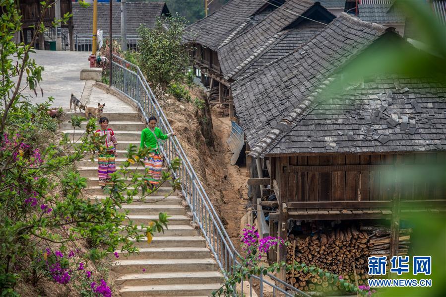 (決戰決勝脫貧攻堅·圖文互動)(2)“孩子再也不用學打獵了”——拉祜族女獵手告別狩獵