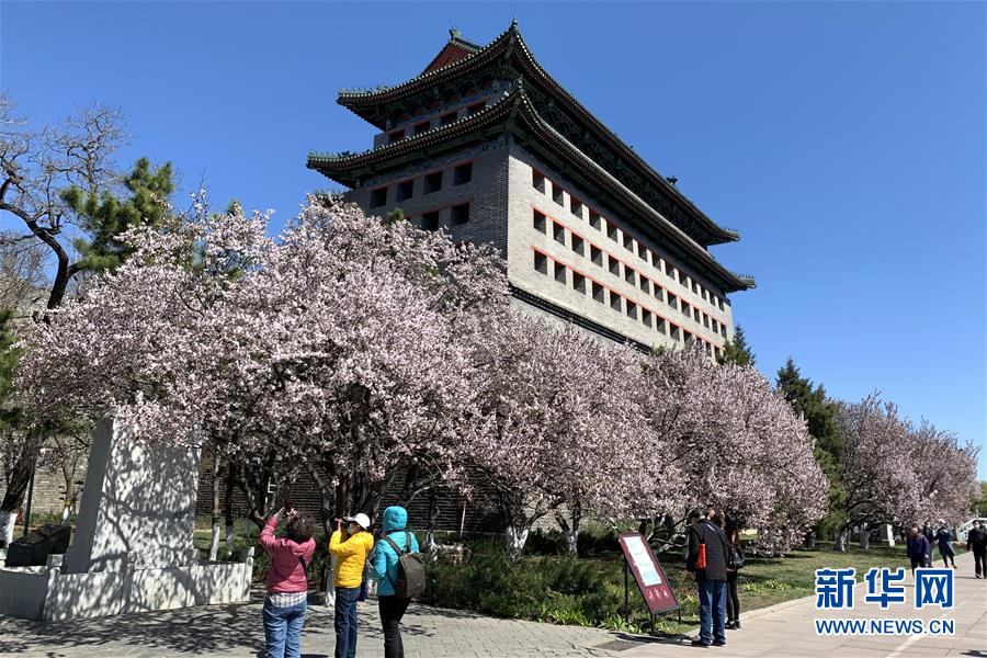 (新華全媒頭條·圖文互動)(5)永遠的夢想 永恒的追求——寫在北京世園會開幕一周年之際