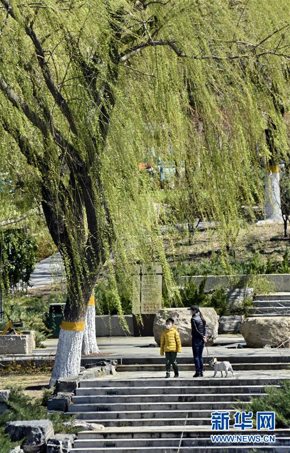 (新華全媒頭條·圖文互動)(6)永遠的夢想 永恒的追求——寫在北京世園會開幕一周年之際