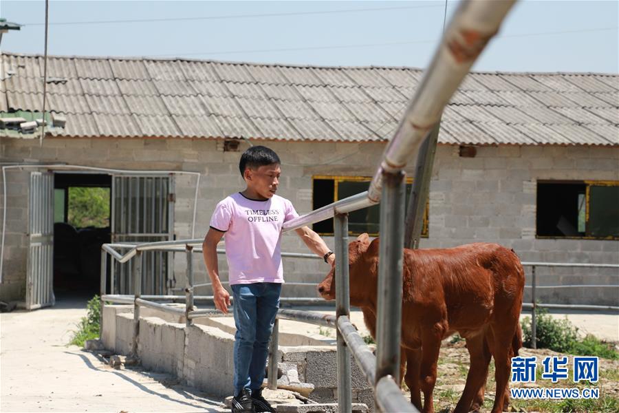 (新華全媒頭條·圖文互動)(8)刺梨花開滿山紅——記在貴州脫貧攻堅一線奮斗的殘疾人
