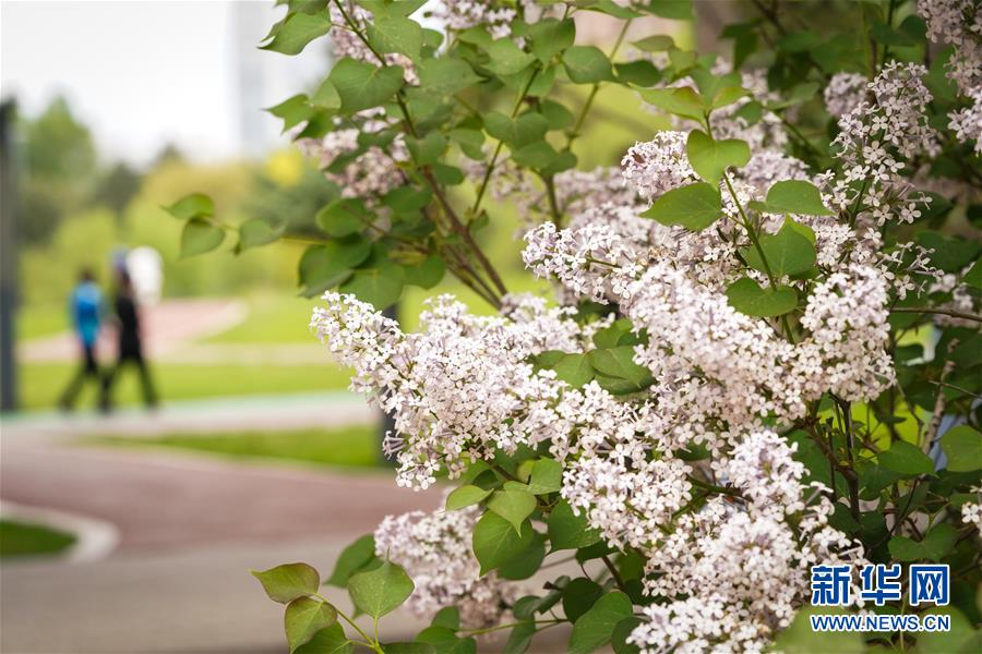 (聚焦疫情防控)(3)黑龍江:新冠肺炎本土確診病例和境外輸入確診病例“清零”
