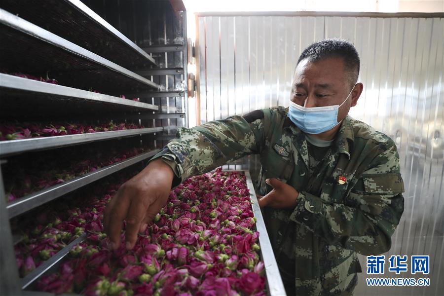 (熱點鮮報·走向我們的小康生活·圖文互動)(2)你沒聽過的伊瑪堪——“北大倉”里話小康之三