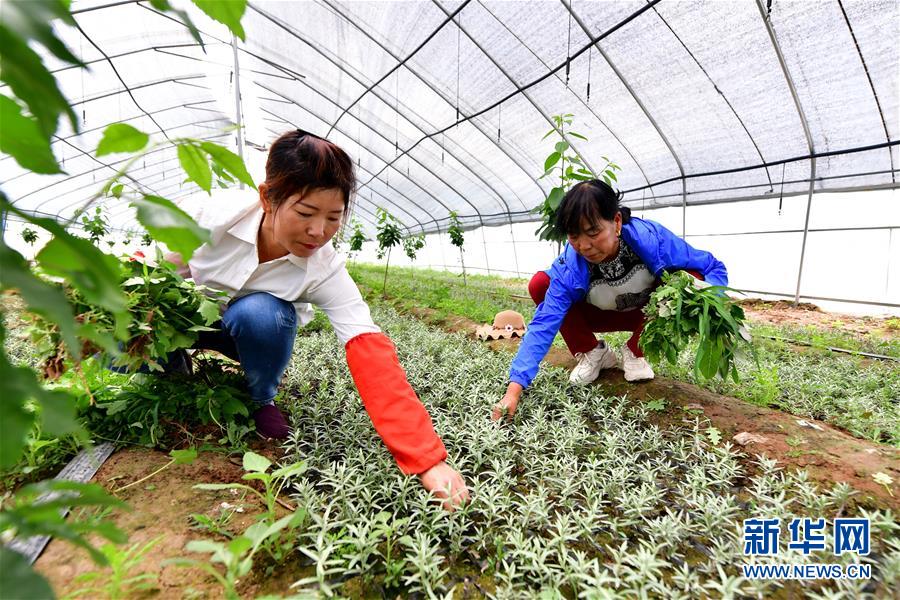 (新華全媒頭條·圖文互動)(5)呂梁新傳奇