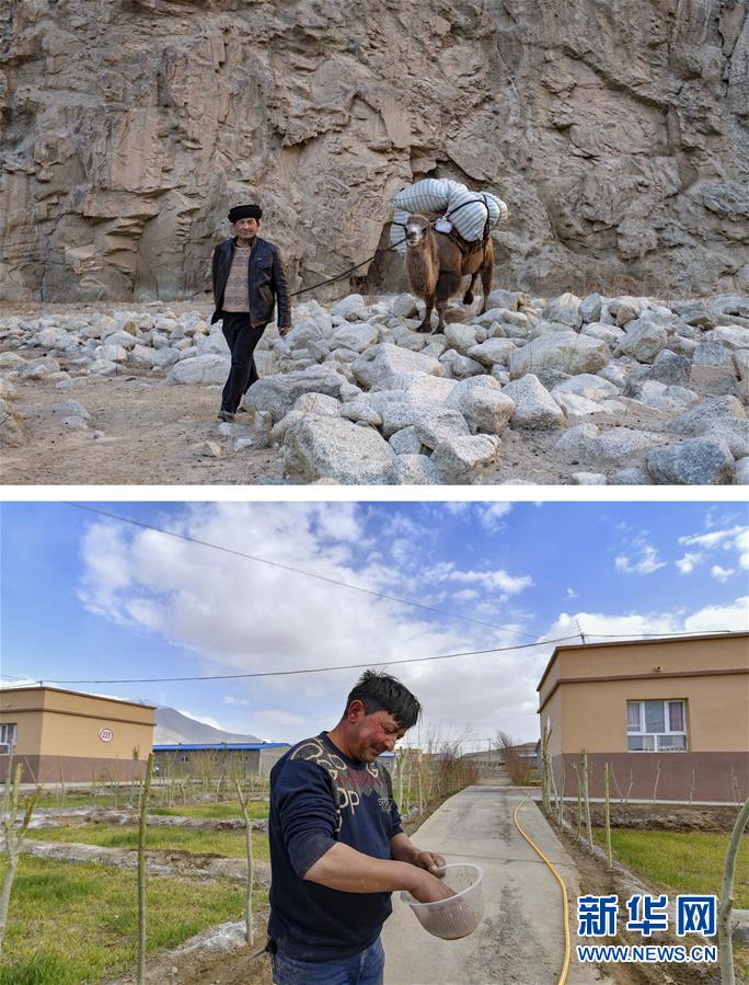 （新華全媒頭條·圖文互動）（7）飛吧，“帕米爾雄鷹”！