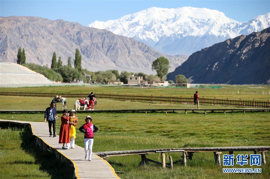 （新華全媒頭條·圖文互動）（15）飛吧，“帕米爾雄鷹”！