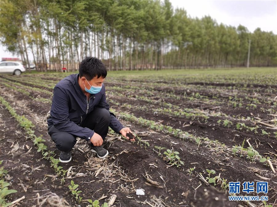 (在習近平新時代中國特色社會主義思想指引下——新時代新作為新篇章·習近平總書記關切事·圖文互動)(6)讓每一寸耕地都成為豐收的沃土——我國加強耕地保護推進“藏糧于地”