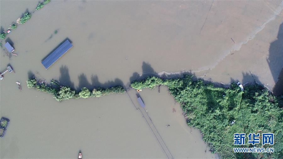 (防汛抗洪)(8)我國最大淡水湖水位突破1998年歷史極值