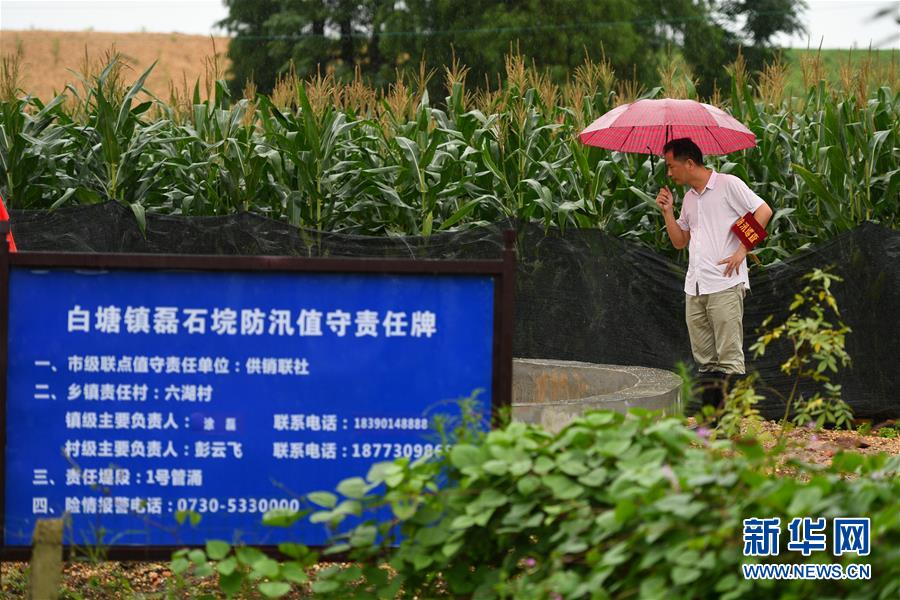 (防汛抗洪·圖文互動(dòng))(1)“險(xiǎn)情不可怕,可怕的是不能及時(shí)發(fā)現(xiàn)險(xiǎn)情”——洞庭湖巡堤查險(xiǎn)現(xiàn)場(chǎng)直擊