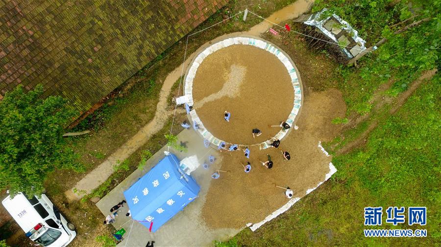 (防汛抗洪·圖文互動(dòng))(2)“險(xiǎn)情不可怕,可怕的是不能及時(shí)發(fā)現(xiàn)險(xiǎn)情”——洞庭湖巡堤查險(xiǎn)現(xiàn)場(chǎng)直擊