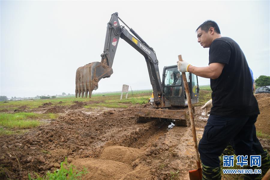 (防汛抗洪·圖文互動(dòng))(3)“險(xiǎn)情不可怕,可怕的是不能及時(shí)發(fā)現(xiàn)險(xiǎn)情”——洞庭湖巡堤查險(xiǎn)現(xiàn)場(chǎng)直擊
