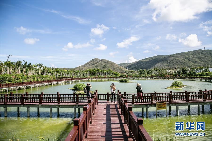 (新華全媒頭條·走向我們的小康生活·圖文互動)(6)留住鄉愁留住美——千村競秀綴瓊州