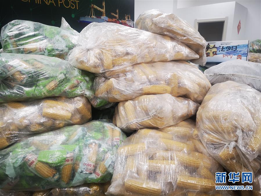 (落實“六穩”“六保”一線見聞·圖文互動)(2)老煤城雙鴨山開拓就業創業新領地