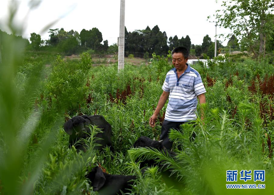 （走向我們的小康生活·圖文互動）（3）擺擺幸福鄉(xiāng)村的新鮮事兒