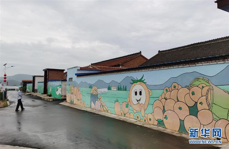 (決戰(zhàn)決勝脫貧攻堅(jiān)·圖文互動)(1)西紅柿小鎮(zhèn)的“致富經(jīng)”