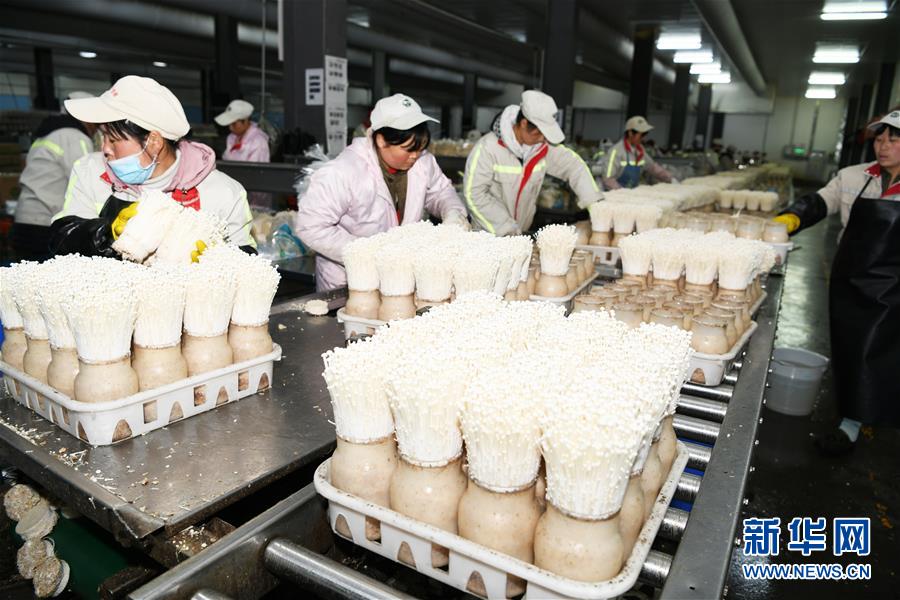 (走向我們的小康生活·圖文互動)(2)烏蒙“同心”戰貧困