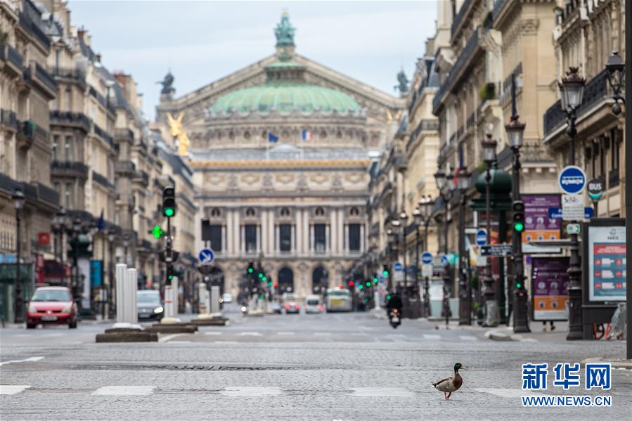 (國際·圖文互動(dòng))(4)特稿:穿越寒暑 無問西東——寫在新冠疫情構(gòu)成“國際關(guān)注的突發(fā)公共衛(wèi)生事件”半年之際